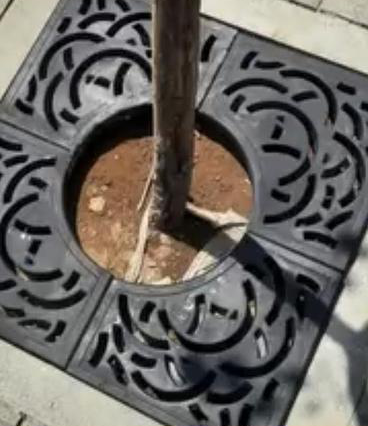 Tree Grating